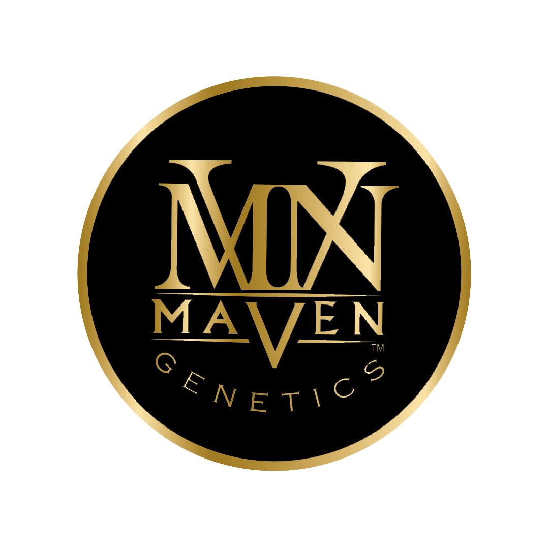 Maven Genetics