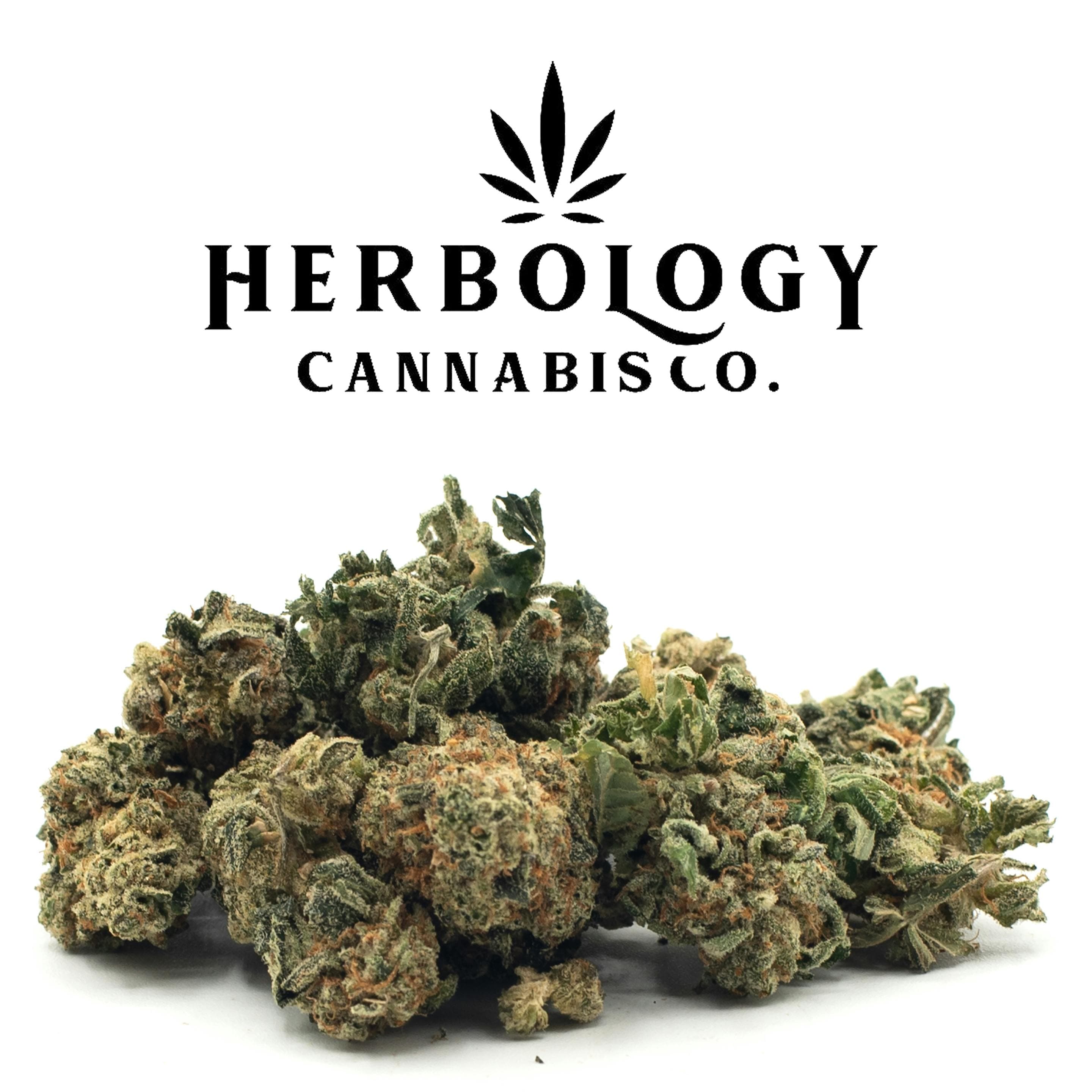 Herbology Cannabis Co. – Our Commitment to Quality and Community Herbology Cannabis Co. logo with cannabis buds and a message about quality and community commitment